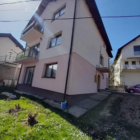 Rose * Sarajevo